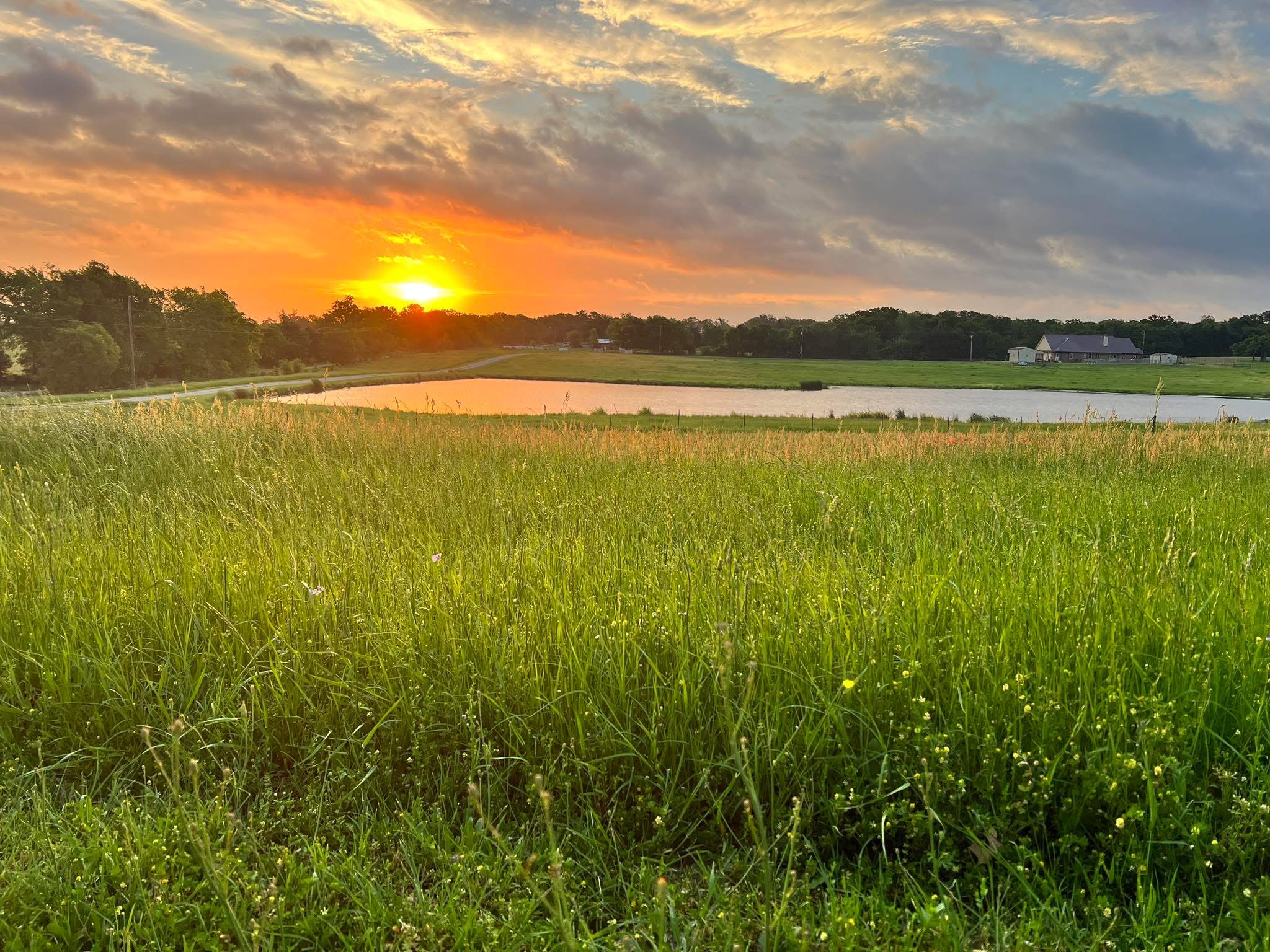 Sunrise over the fields